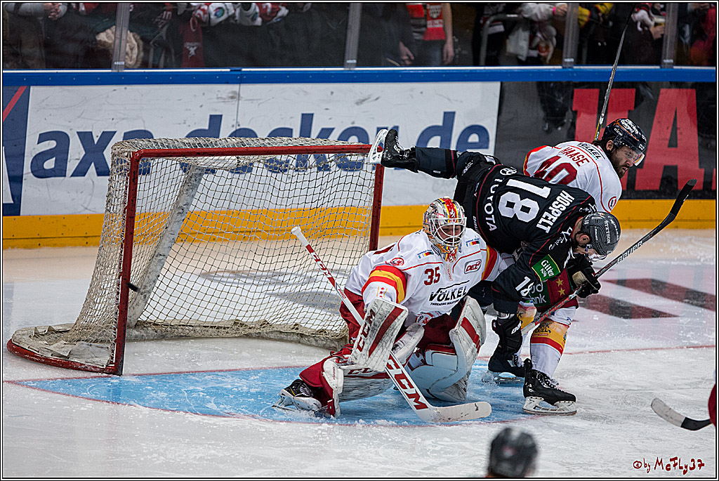DEL, Koelner Haie - Duesseldorfer EG, 14.02.2017